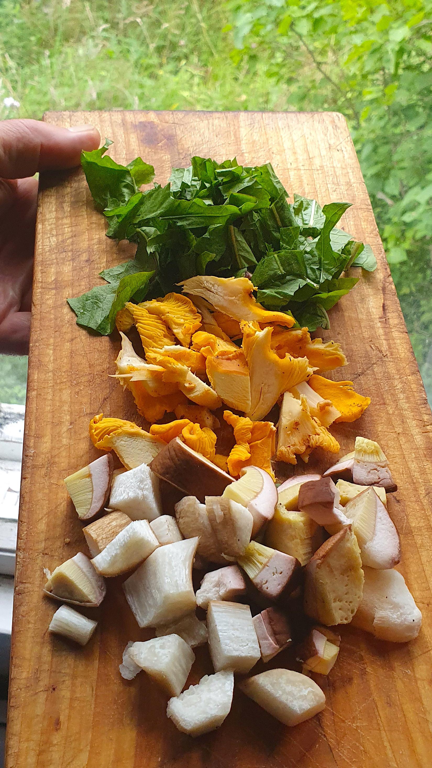 Hortaa ja sieniä leikkuulaudalla (kuva: Villiruoka)