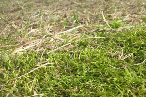20065_61.jpg