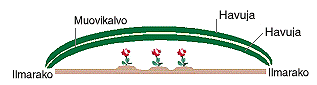 20065_91.jpg