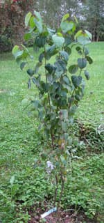 20125_31016.jpg