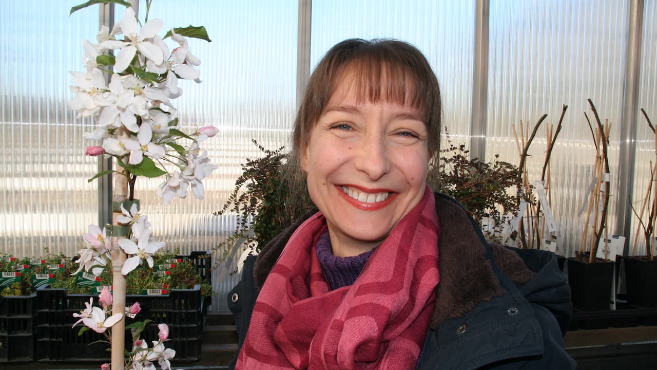 Sanna Numminen MMK