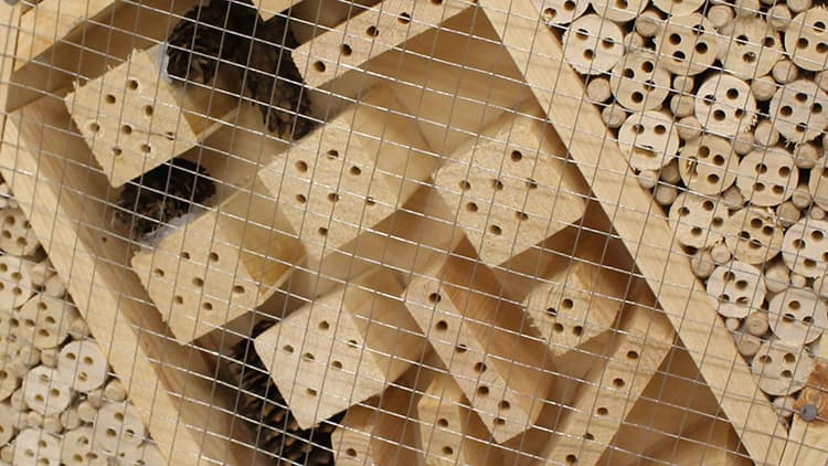 <p data-block-key="ekcrc">Poraa eri kokoisia reikiä puupalikoihin, oksiin ja tankoihin, jotta kaikenlaiset hyönteiset viihtyvät.</p>