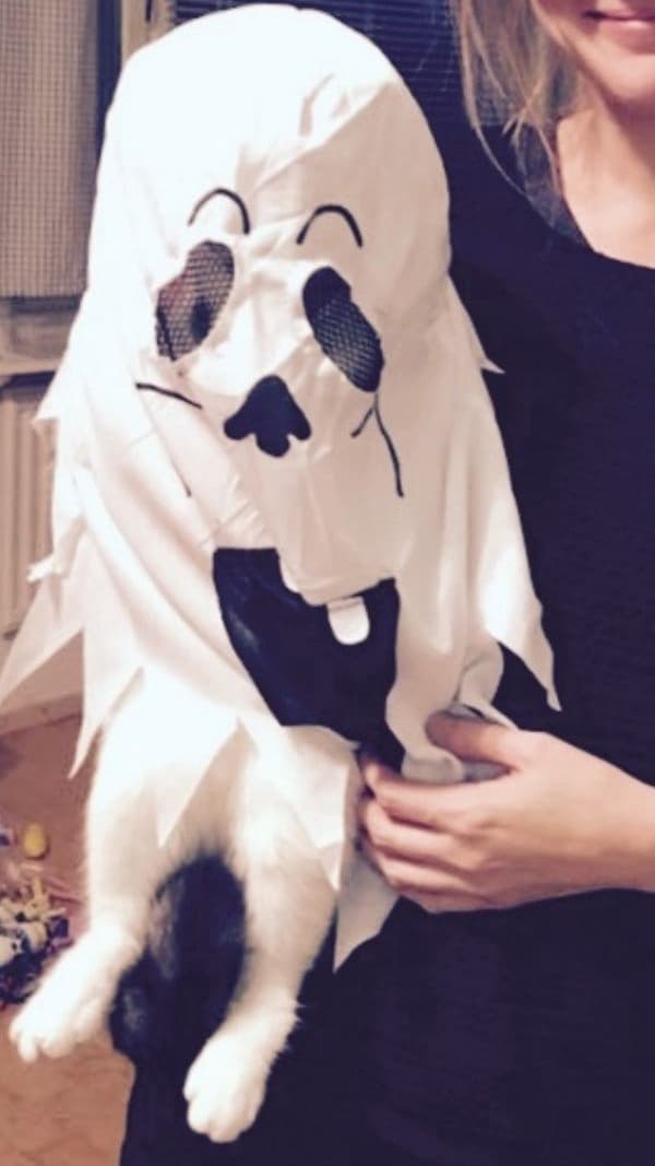 Tämä pikkuinen kummitusasu oli 2-vuotiaan halloween-naamiaisasu. Se jäi lattialle lojumaan ja yhtäkkiä huomattiin, kuinka mytty rupesi liikkumaan. Kissahan sinne sisälle oli kömpinyt. Vahingossa tapahtunut halloween-koristelu, mutta sai meidät kaikki nauramaan! Kuva: Erika S. Espoo