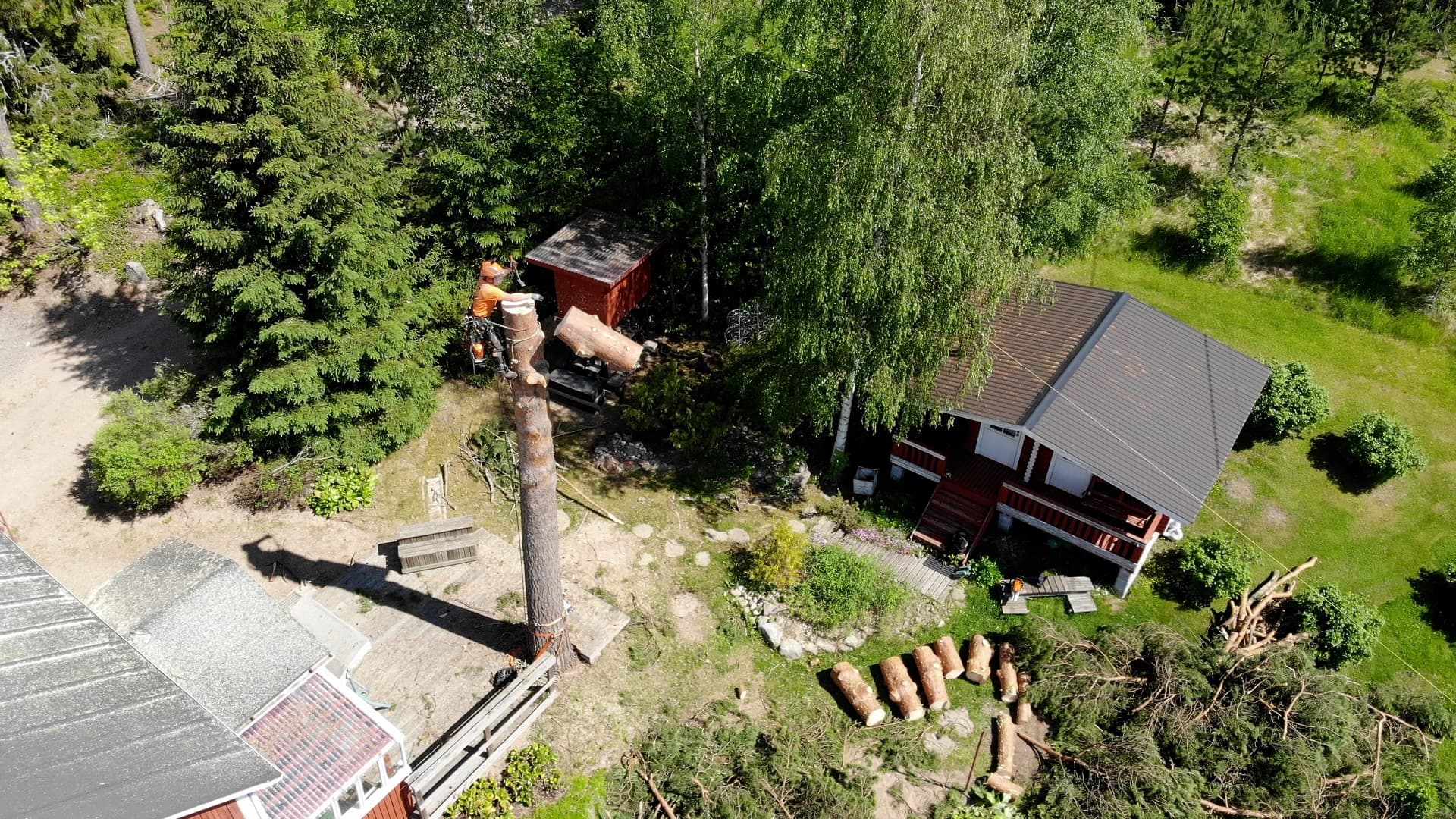 <p data-block-key="5i7u3">Kuva 3. Puun paloina poisto kiipeilytekniikalla. (Kuva: Mika Vainionpää)</p>
