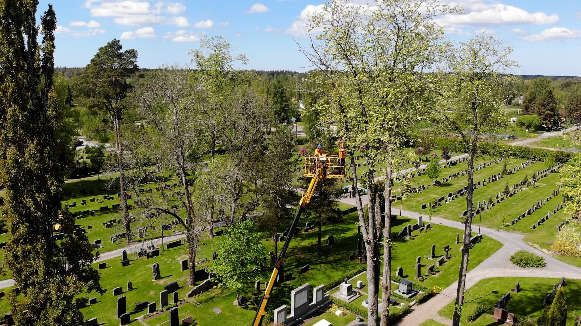 Kuva 4. Arboristit hoitoleikkaavat puuta nostokorista. (Kuva: Mika Vainionpää)