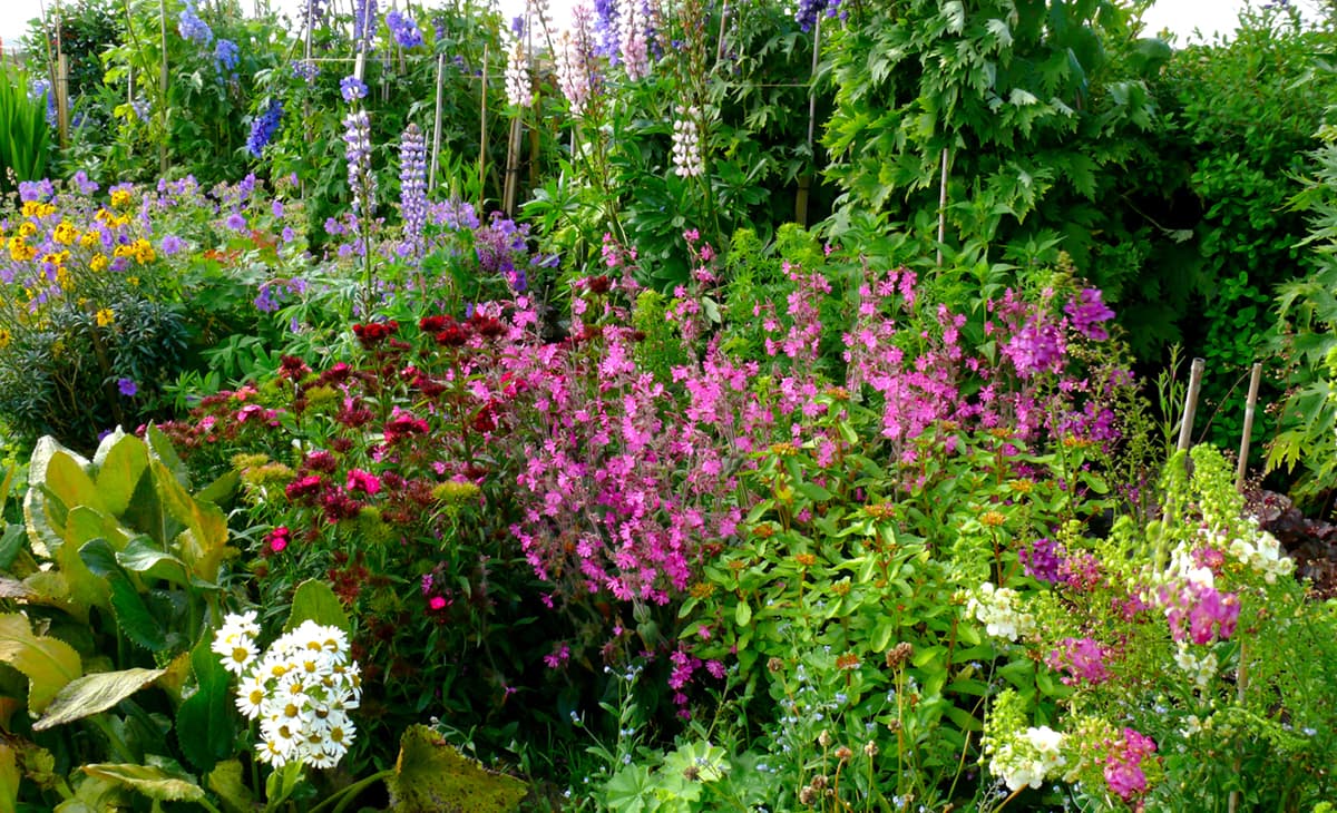 Runsas cottage garden