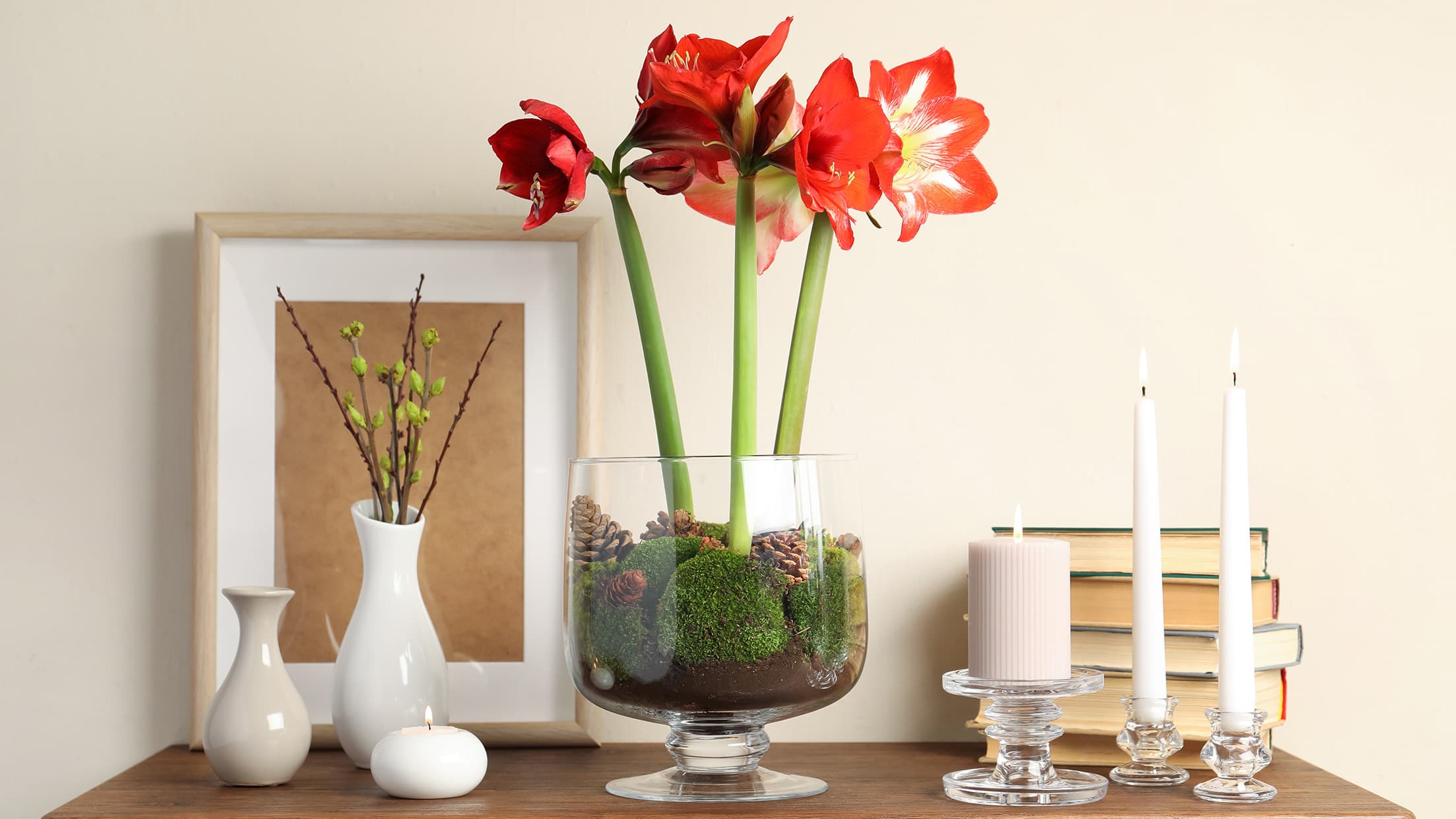 <p data-block-key="zelbv">Amaryllis tarvitsee runsaasti valoa ja maltillista kastelua kukoistaakseen kauniisti. (Kuva: Shutterstock)</p>