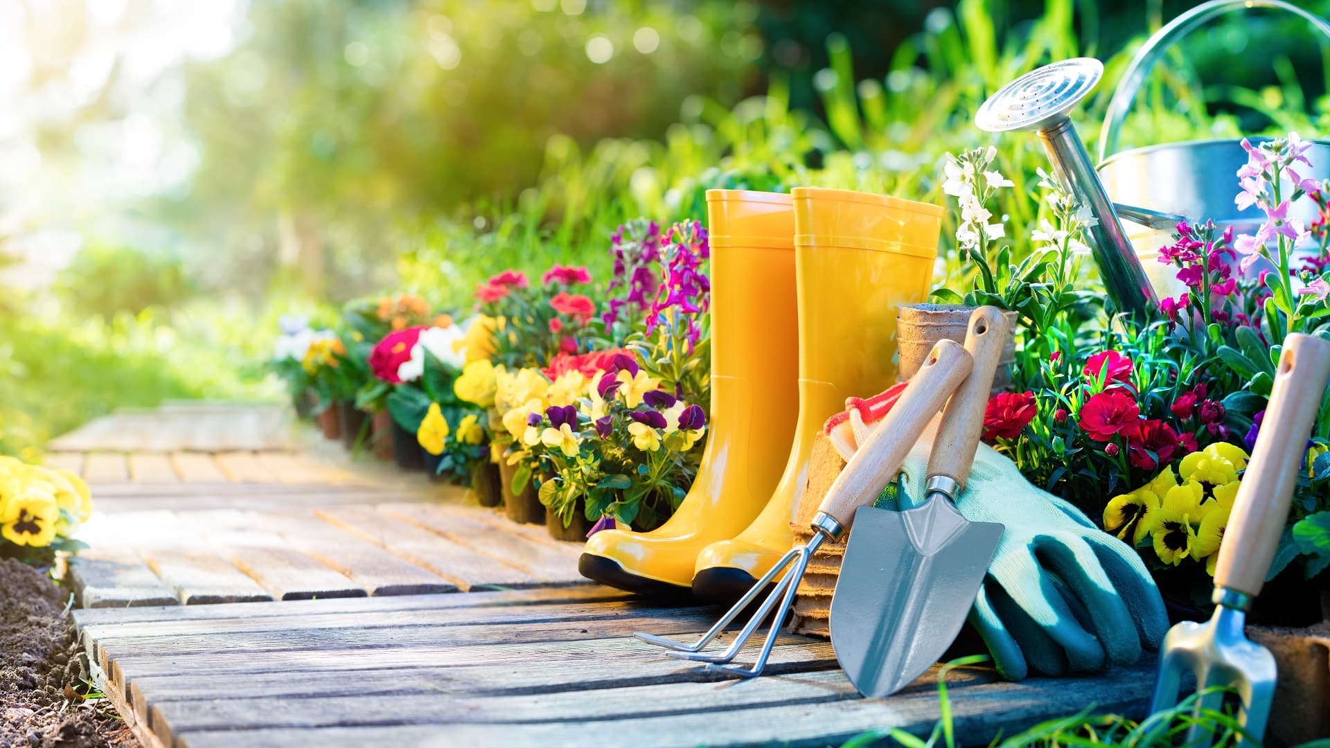 Piha sinne tänne ripotelluin kasvein on suunnittelemattomuuden huippu. Piha kannattaa siis suunnitella hyvin, jotta siitä on iloa vuosiksi eteenpäin. (Kuva: Shutterstock)