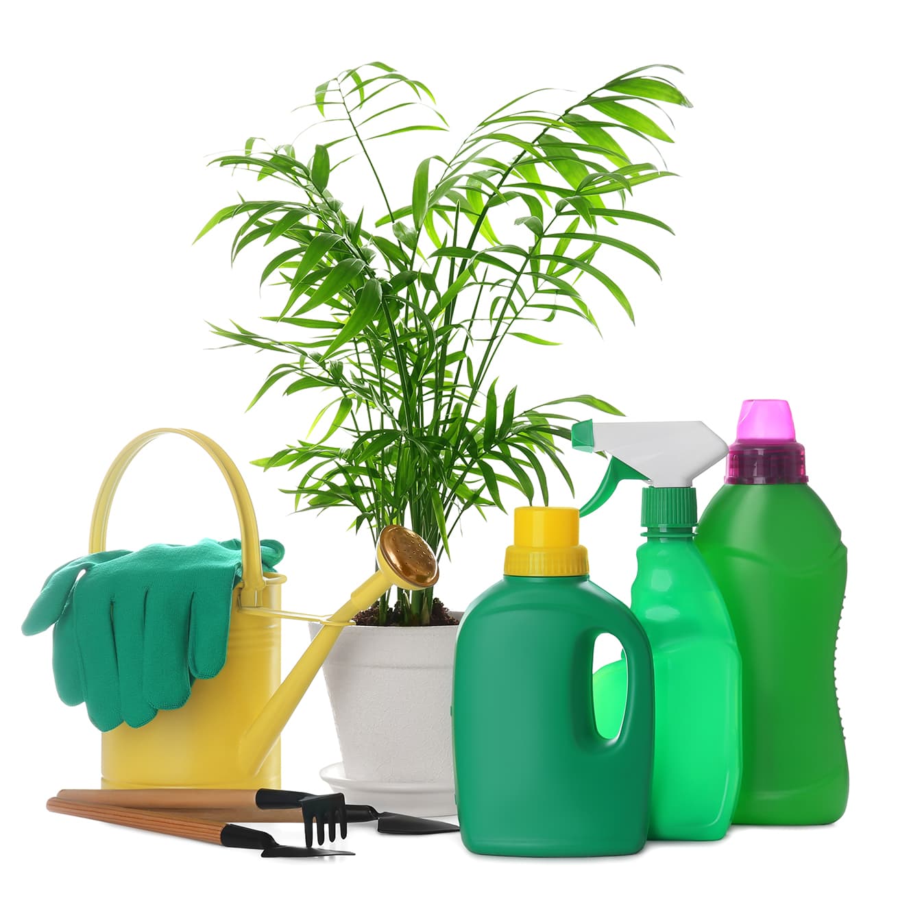 <p data-block-key="7r23e">Ravinteet liukenevat vähitellen kasvin käyttöön. (Kuva: Shutterstock)</p>