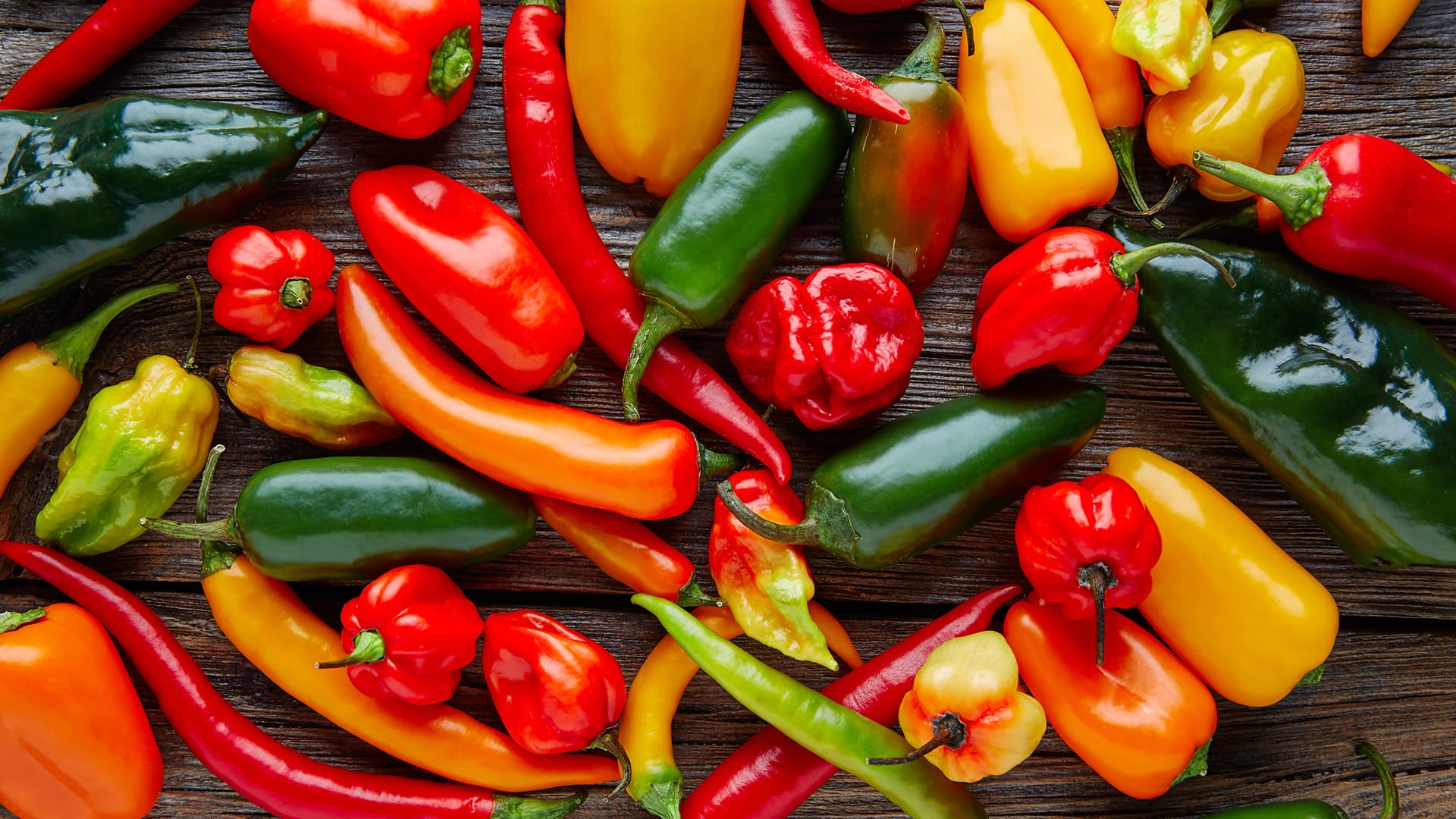 Chilit ja paprikat ovat Capsicum-sukua