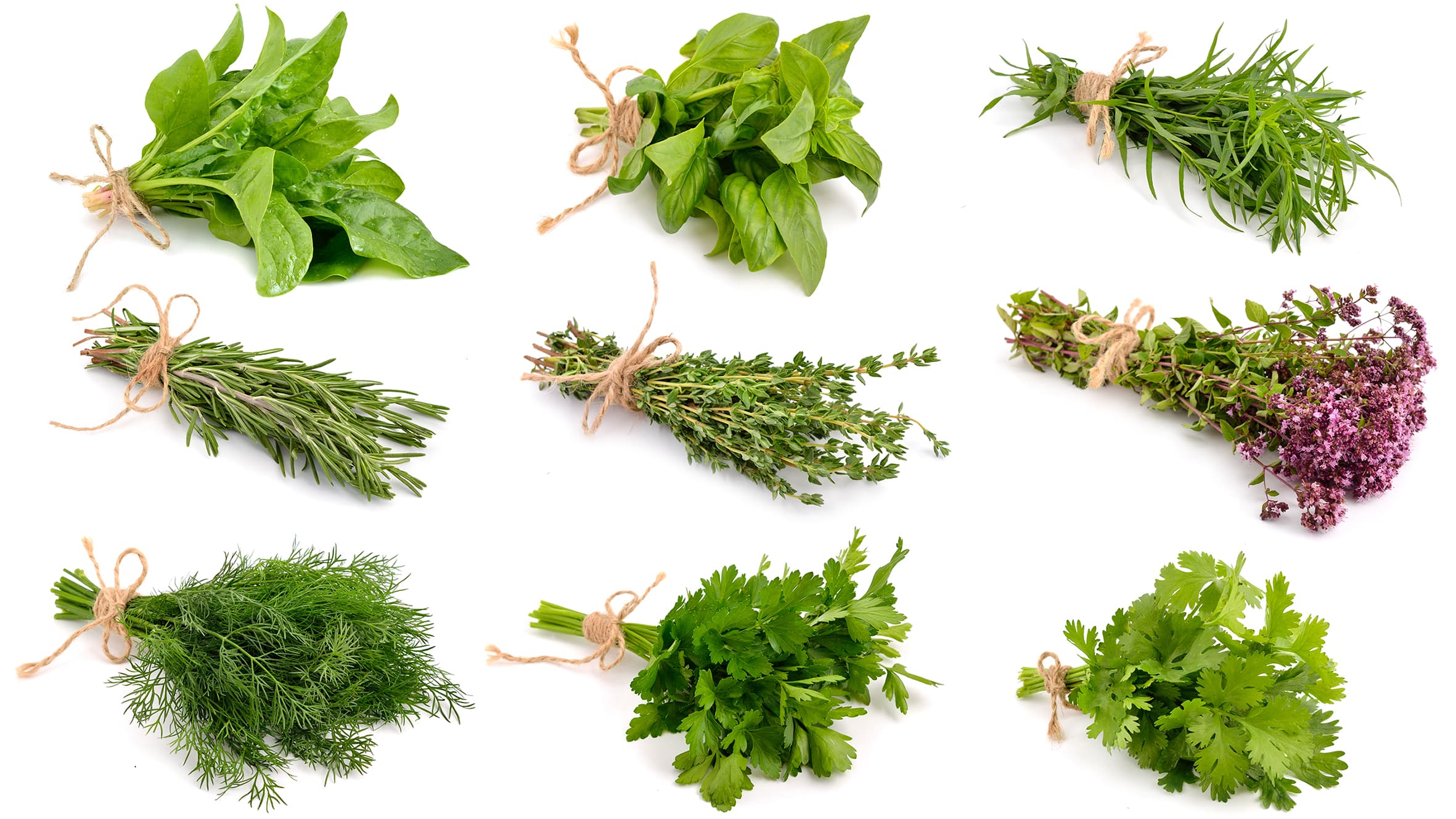 <p data-block-key="aoc31">Pinaatti, basilika, rakuuna, rosmariini, timjami, oregano, tilli, persilja, korianderi (Kuva: Adobe Stock)</p>