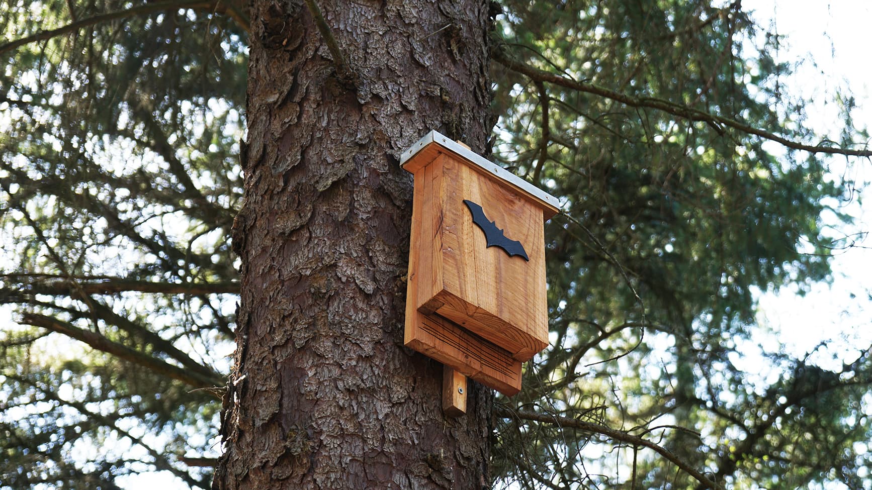<p data-block-key="i8a6t">Batman-fani voi tehdä vaikka tällaisen pöntön lepakoille. (Kuva: Adobe Stock)</p>