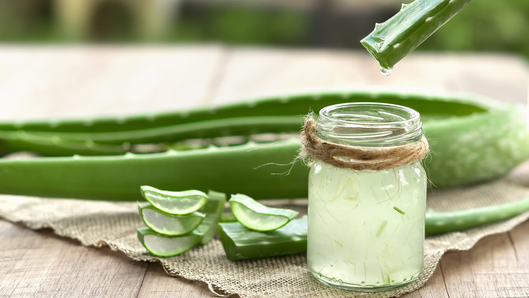 Aloe veran käyttö sisäisesti ja ulkoisesti – hyödyt terveydelle, iholle ja arkeen