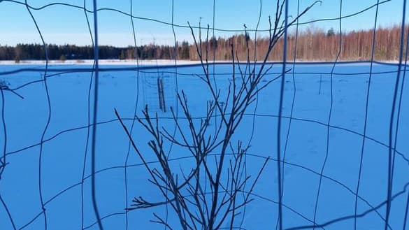 Terijoensalavan peuravahingot? Asiantuntija vastaa