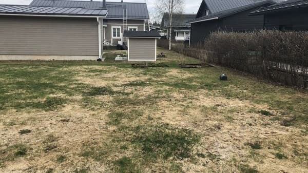 Mitä tehdä nurmikolle? Asiantuntija vastaa