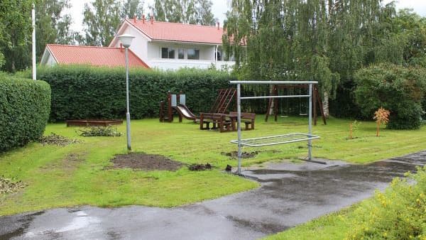 Mitä pensaita kurtturuusun tilalle? Asiantuntija vastaa