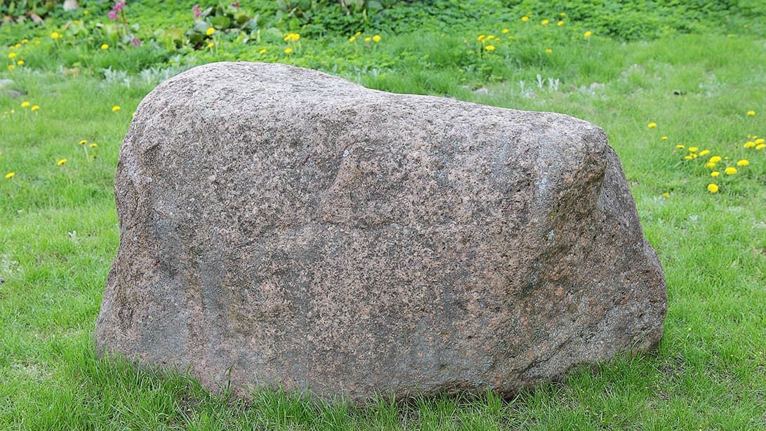 Millainen kasvi sopisi hiekkaiseen alustaan? Asiantuntija vastaa