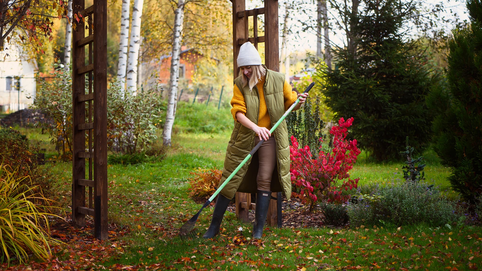 Puiden valmistautuminen talveen