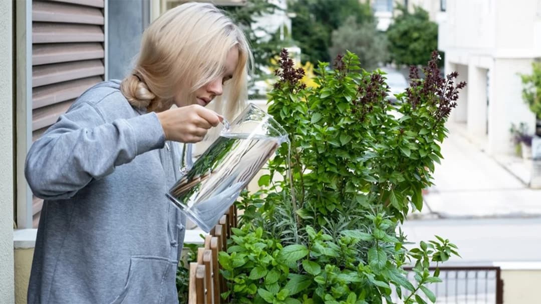 Muhevainen oma sato