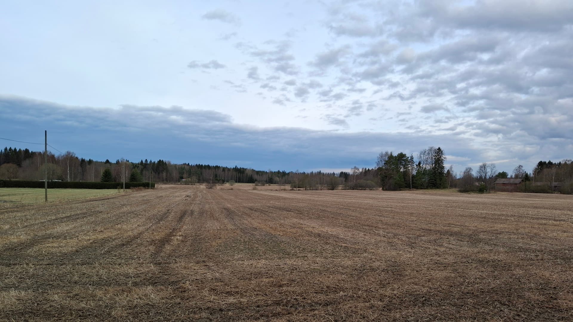 <p data-block-key="a7ngt">Kalkitus parantaa maan rakennetta tehden sen kuohkeaksi ja ilmavaksi. Siellä on tilaa vedelle ja ilmalle, joita kasvien juuret tarvitsevat. Toisaalta kalkittu maa omaa hyvän veden läpäisykyvyn. (Kuva: MR)</p>