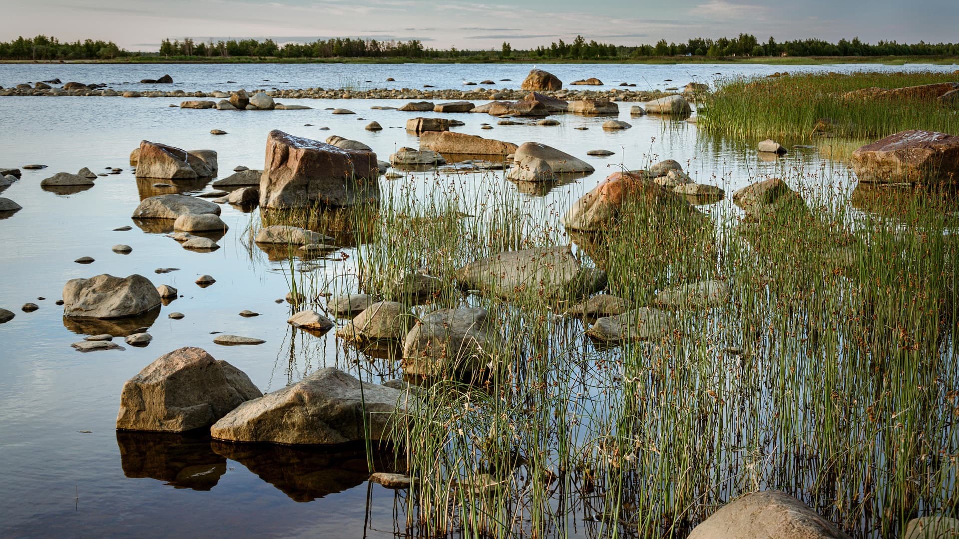 Ranta ja kalliot