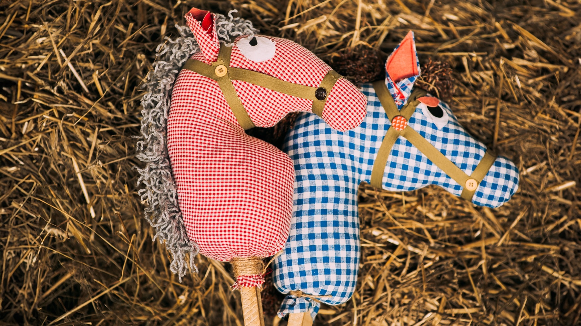 AdobeStock_384497256