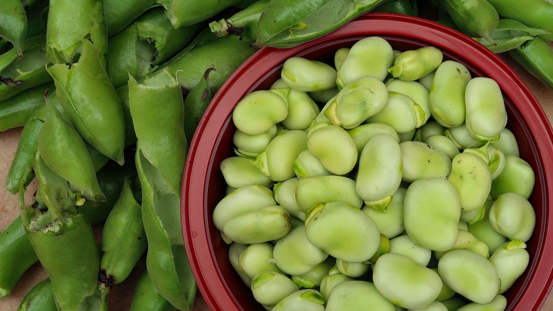 broad-beans-5479434_1920