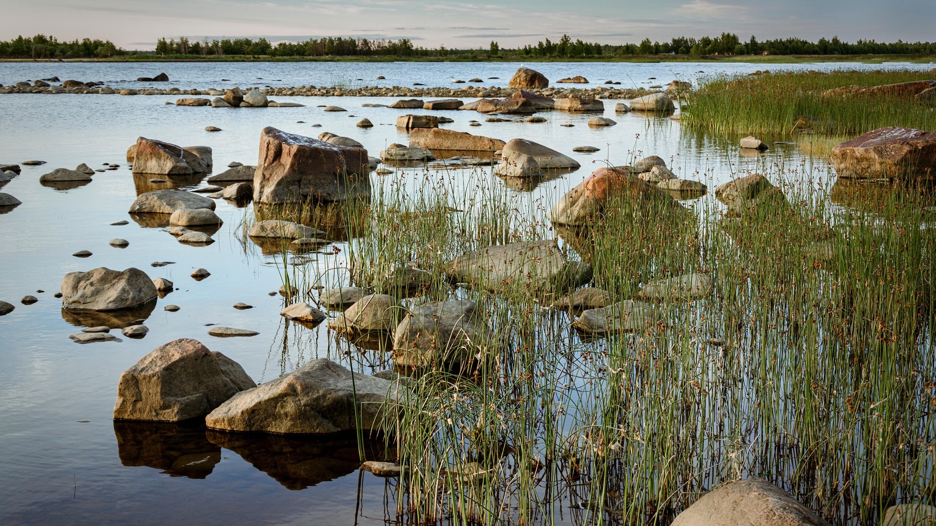 Ranta ja kalliot