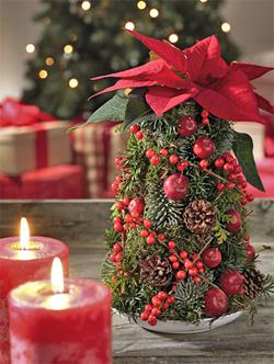 Joulutähden hehkuvanpunaiset ylälehdet korostuvat orjanlaakerin, katajan, sypressin ja männyn oksista tehtyä kehikkoa vasten.