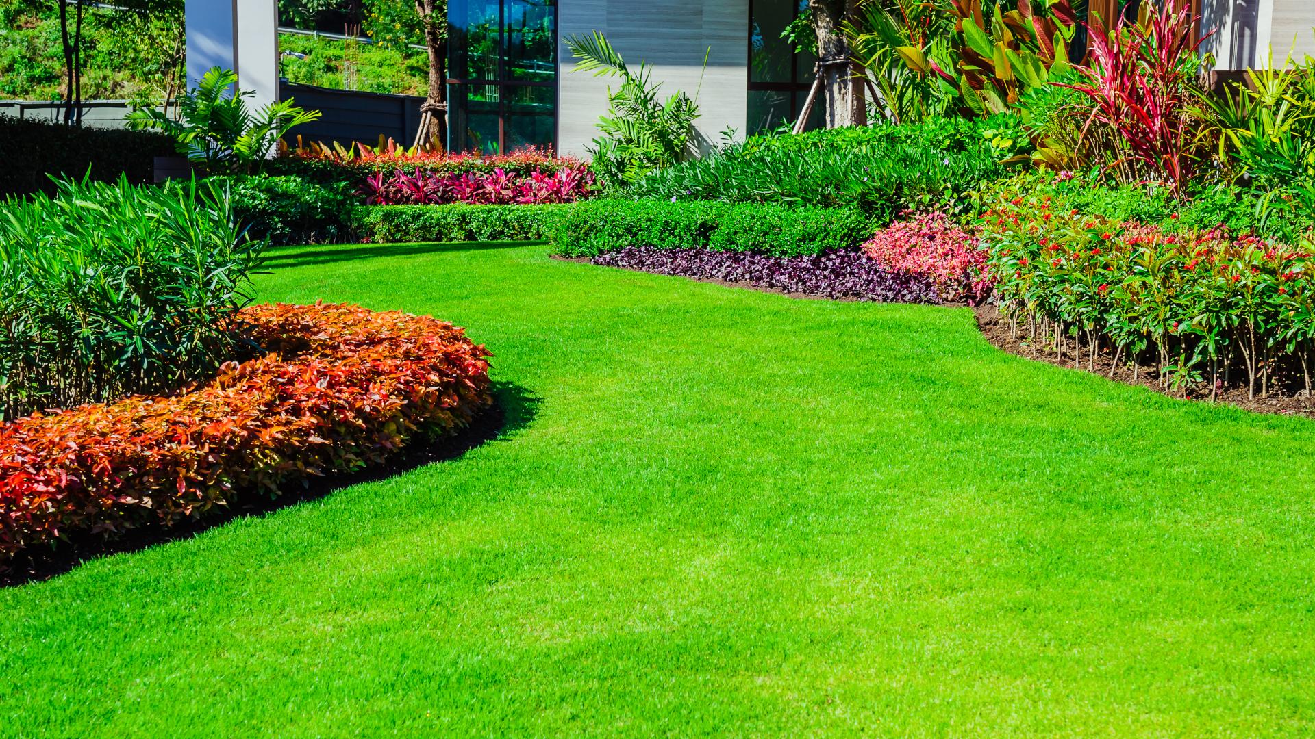 Hyvin hoidettu nurmikko kiittää vaivannäöstä. Kuva: Shutterstock
