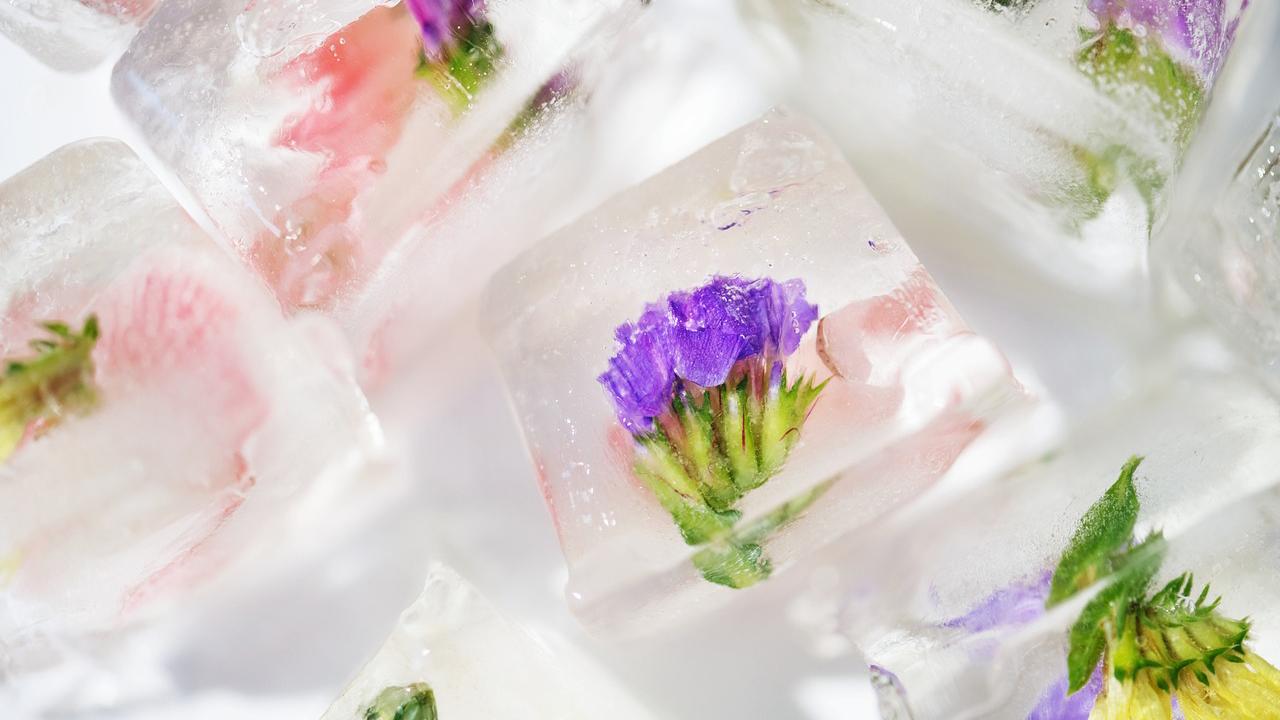 Vinkki! Jääpaloihin laitetut syötävät kukat tuovat kauniin piristyksen esimerkiksi juhlakattaukseen.
