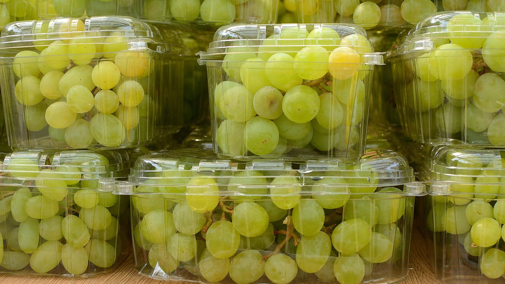 Pieniä muovirasioita saat helposti hedelmien ja marjojen pakkauksista. (Kuva: Adobe Stock)