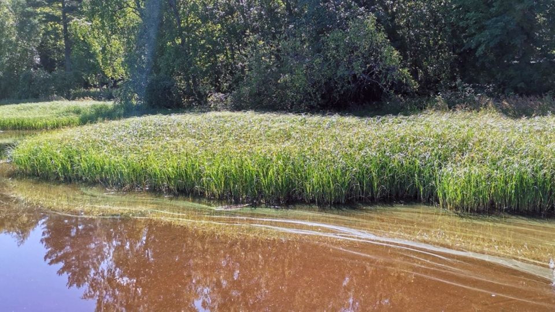 03ab5054-2bc8-4502-b609-b228ff25c2dd-w_960