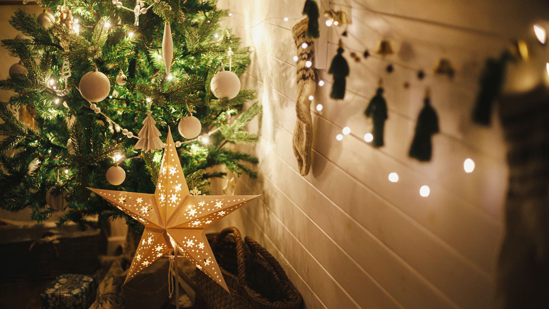 Kuinka huolehtia aidosta joulukuusesta ja pidentää sen ikää