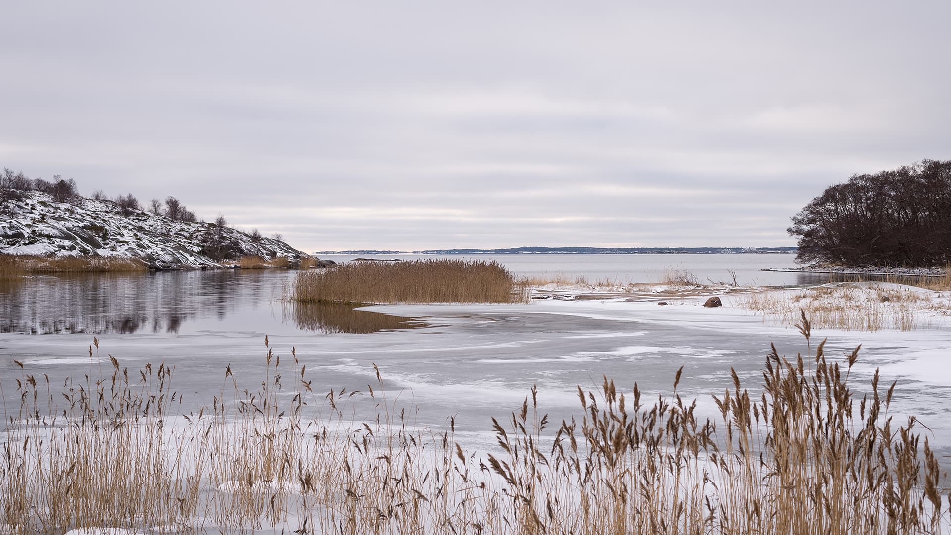 Marraskuun puutarhatyöt – valmistele piha talveen