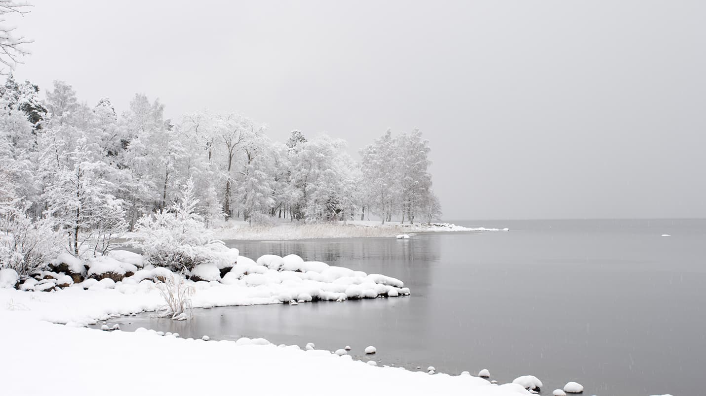 <p data-block-key="fwmbz">Syksyn viimeiset lehdet ja matala valo luovat maisemaan rauhallisen, hieman melankolisen tunnelman, joka on marraskuulle tunnusomainen. (Kuva: Adobe Stock)</p>