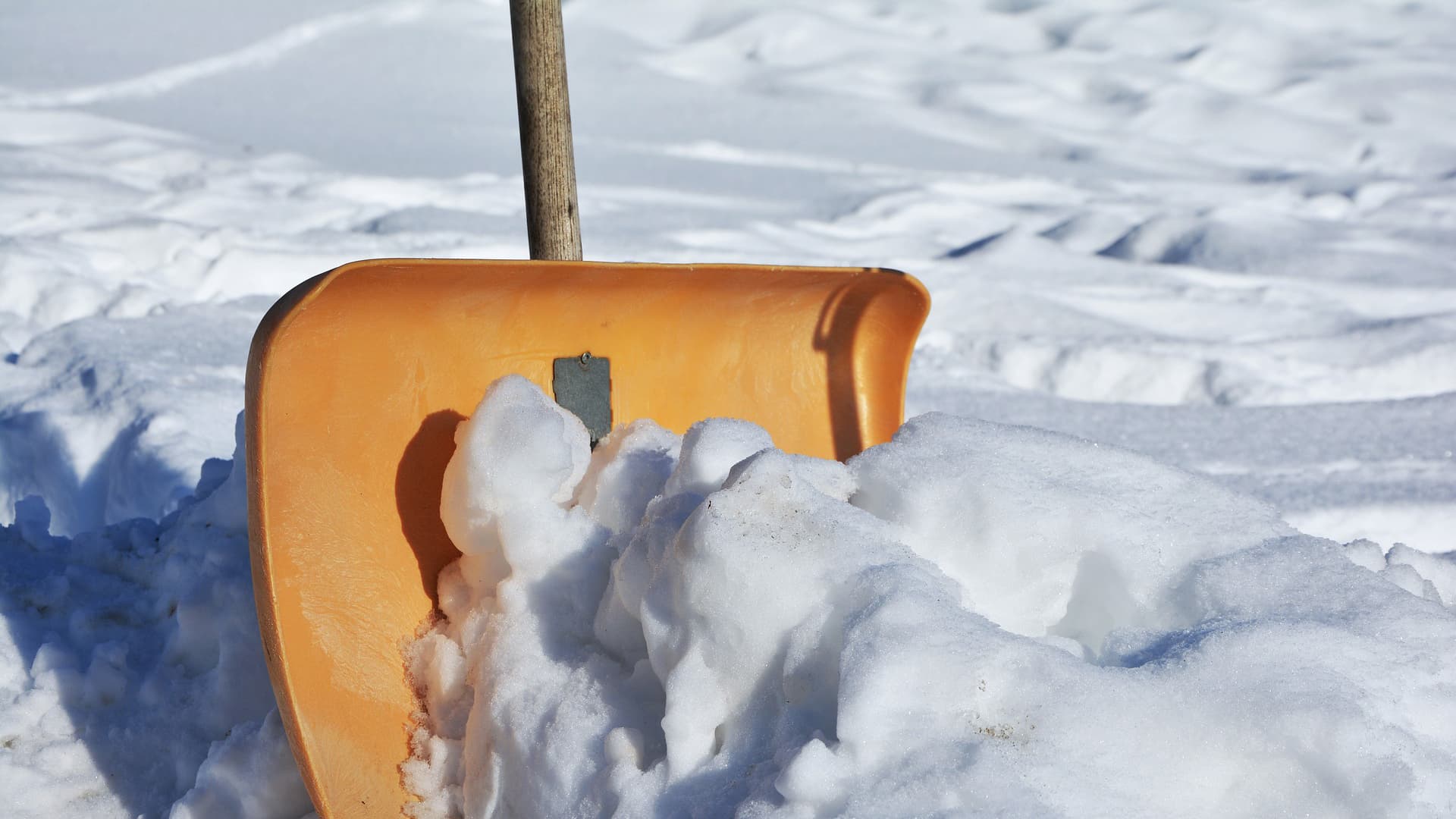 <p data-block-key="c195b">Talvella lumi saa peittää kylvöpaikan. Keväällä sulamisvesi kostuttaa kasvualustaa ja siemenet alkavat itää olosuhteiden lämmetessä. (Kuva: Pixabay)</p>