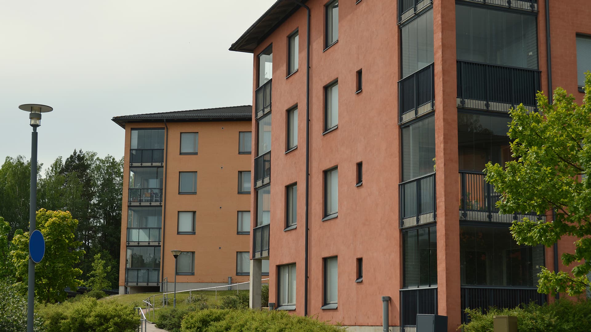 Hallituksen suhtautuminen metelöintiin?