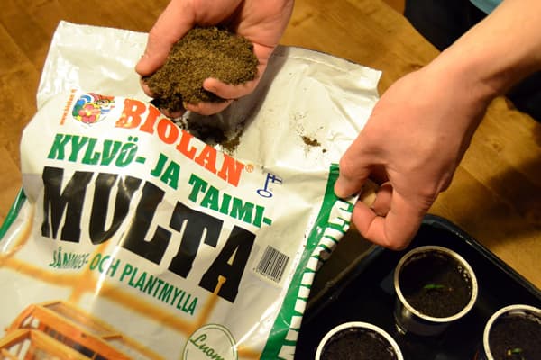 <p data-block-key="jwz2n">Biolan Kylvö- ja taimimulta on juuri tähän tarkoitukseen suunniteltu. Kylvöastioiksi käyvät vaikka jogurttipurkit (muista pohjareikä!).</p>