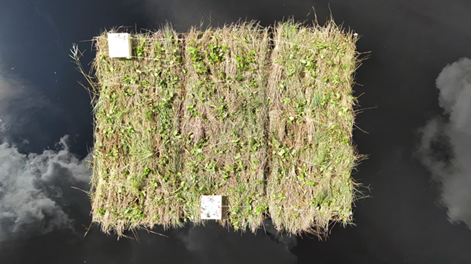 <p data-block-key="2mja8">Kosteikkolautta järvessä ilmasta kuvattuna.</p>