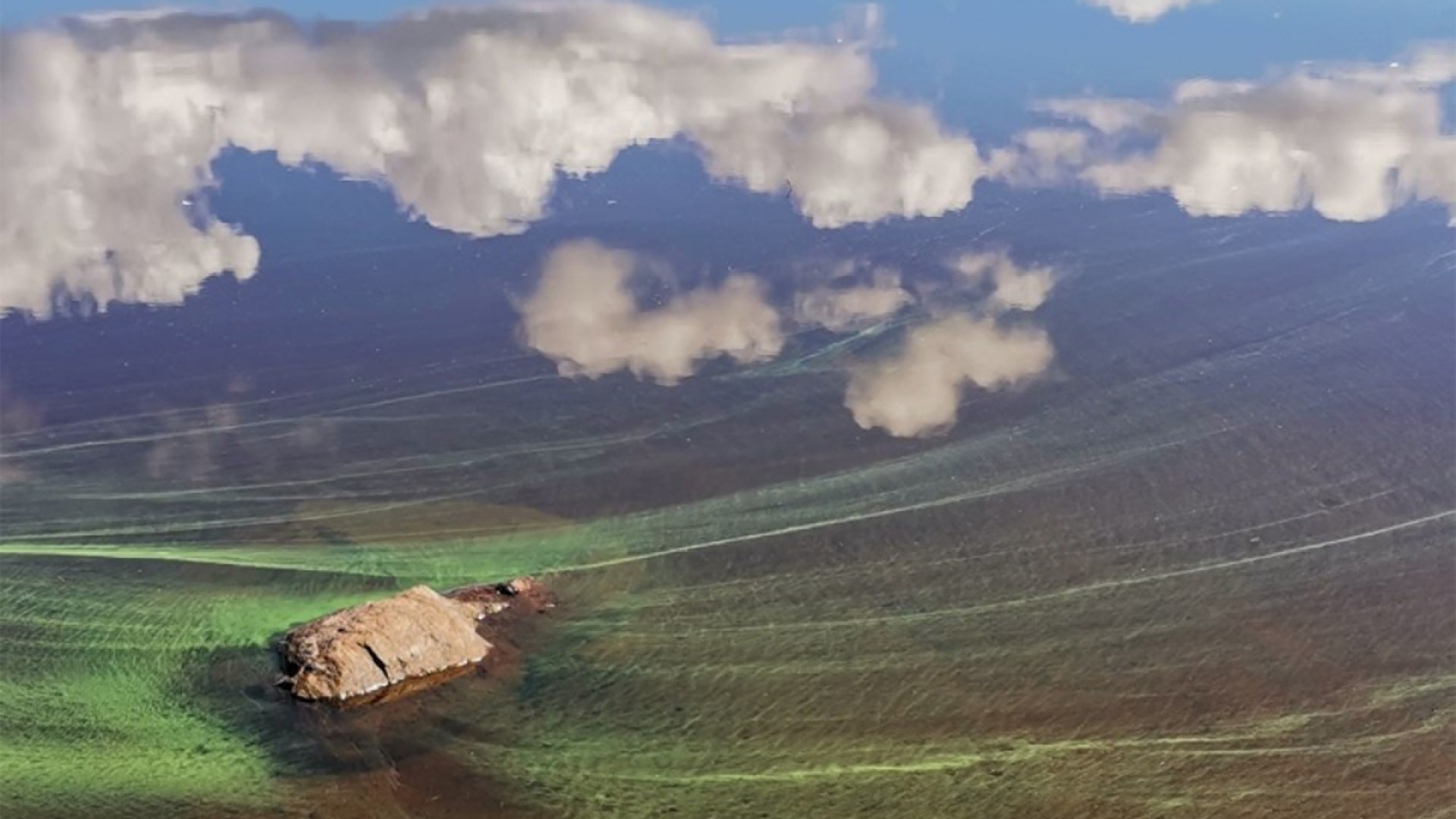 Kuva Anne Mäkynen, Pirkanmaan ELY-keskus.jpg