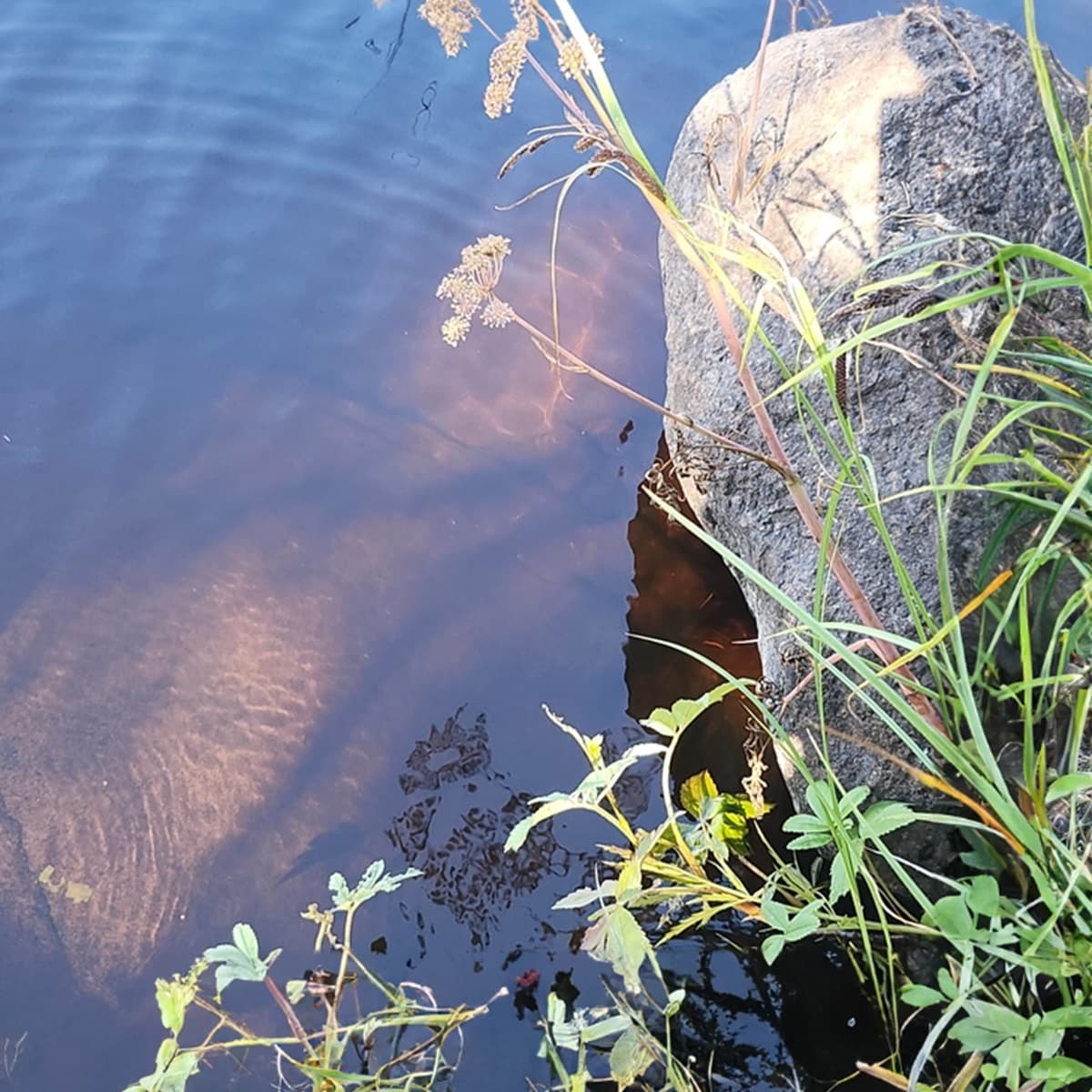 <p data-block-key="r168n">(Kuva osana lukijan lähettämää kysymystä).</p>