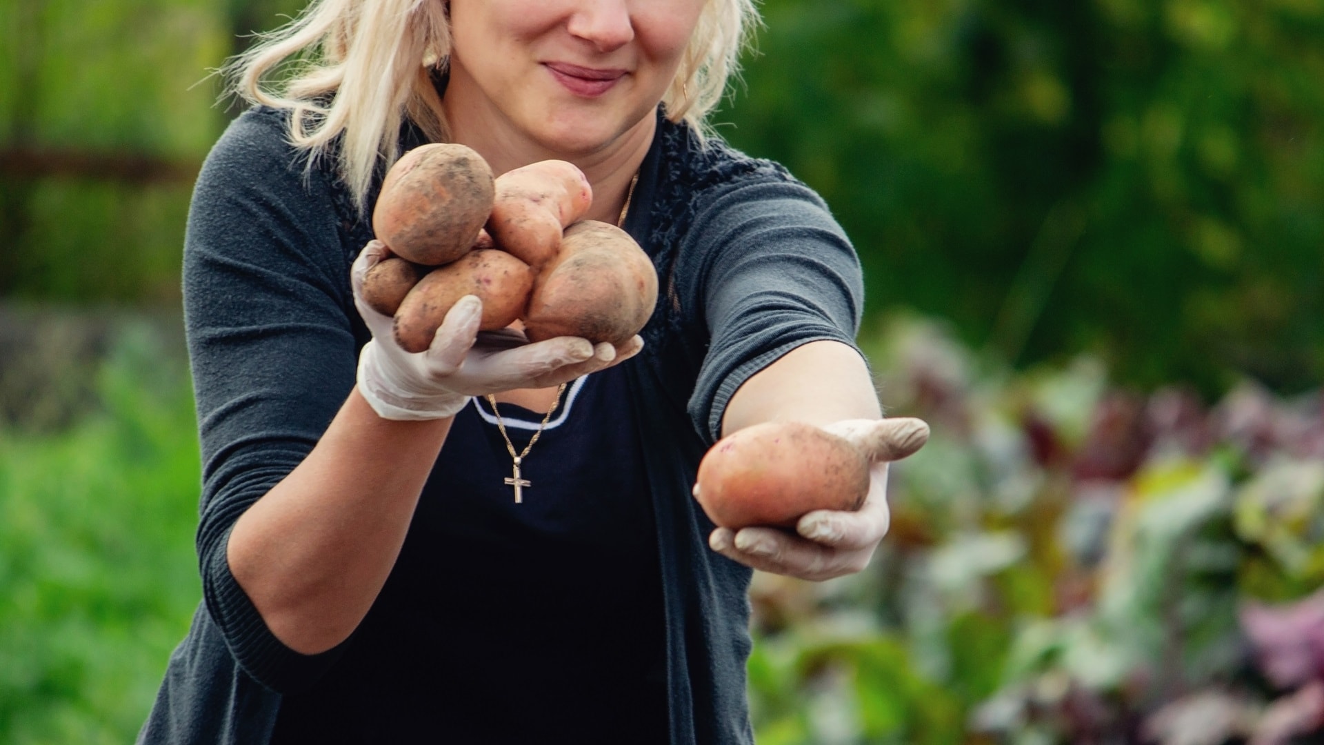 a-female-farmer-holds-harvested-potatoes-harvesti