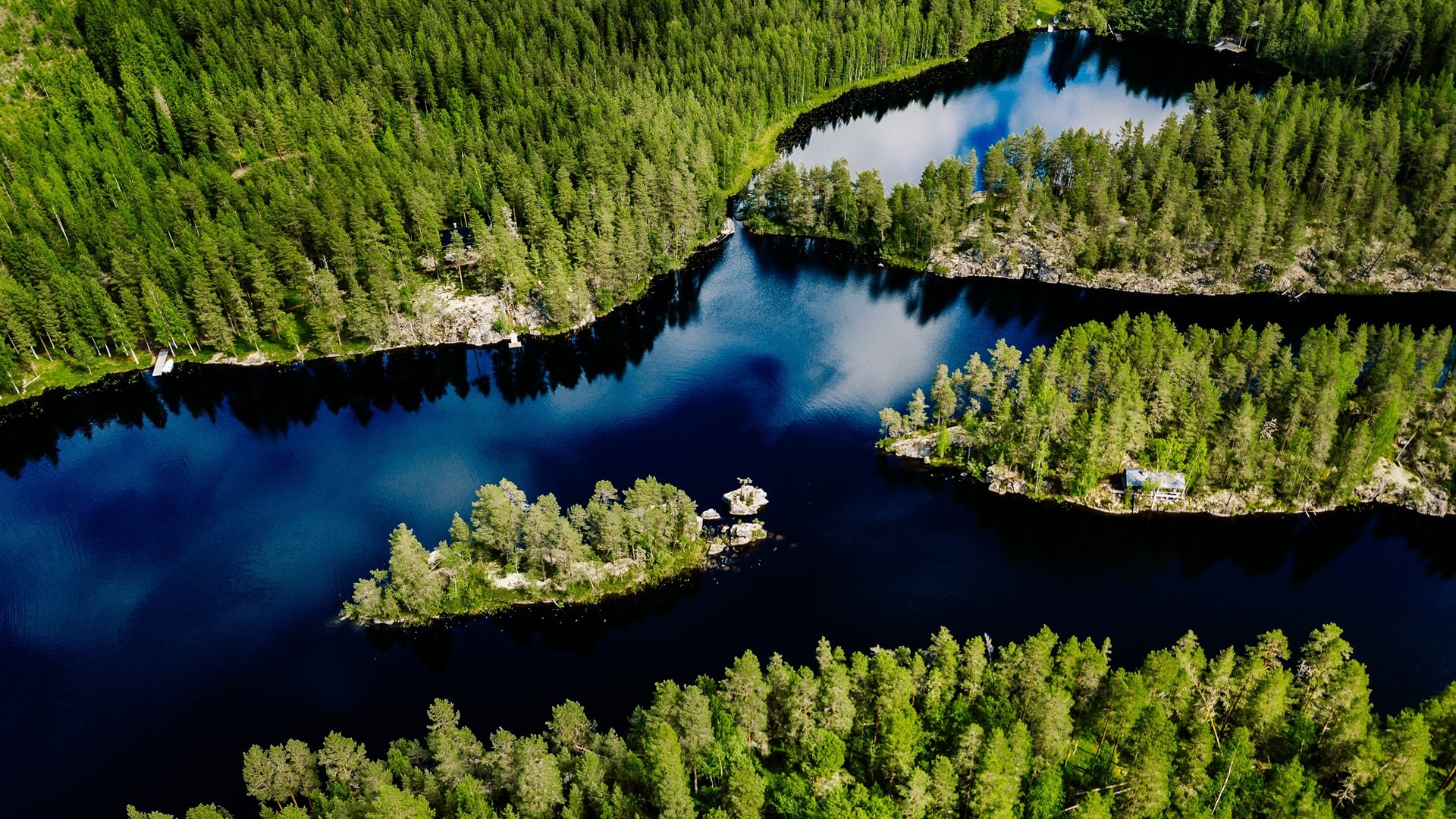 Suomen kaunis metsämaisema.jpg