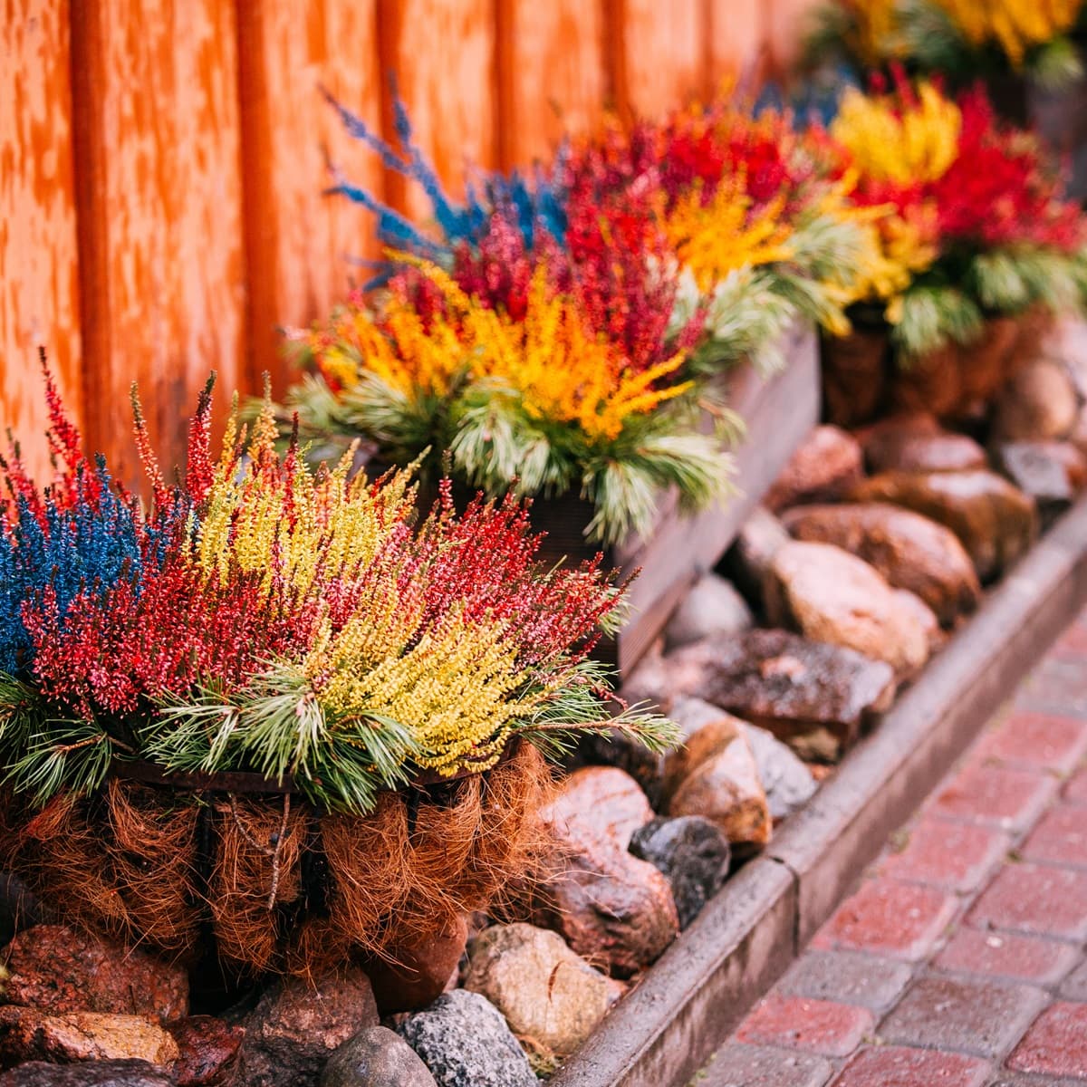 <p data-block-key="9gj7k">Tee-se-itse-reunus kierrätysmateriaaleista tekee kukkapenkistä ainutlaatuisen ja kertoo puutarhurin persoonallisesta tyylistä. (Kuva: Envato)</p>