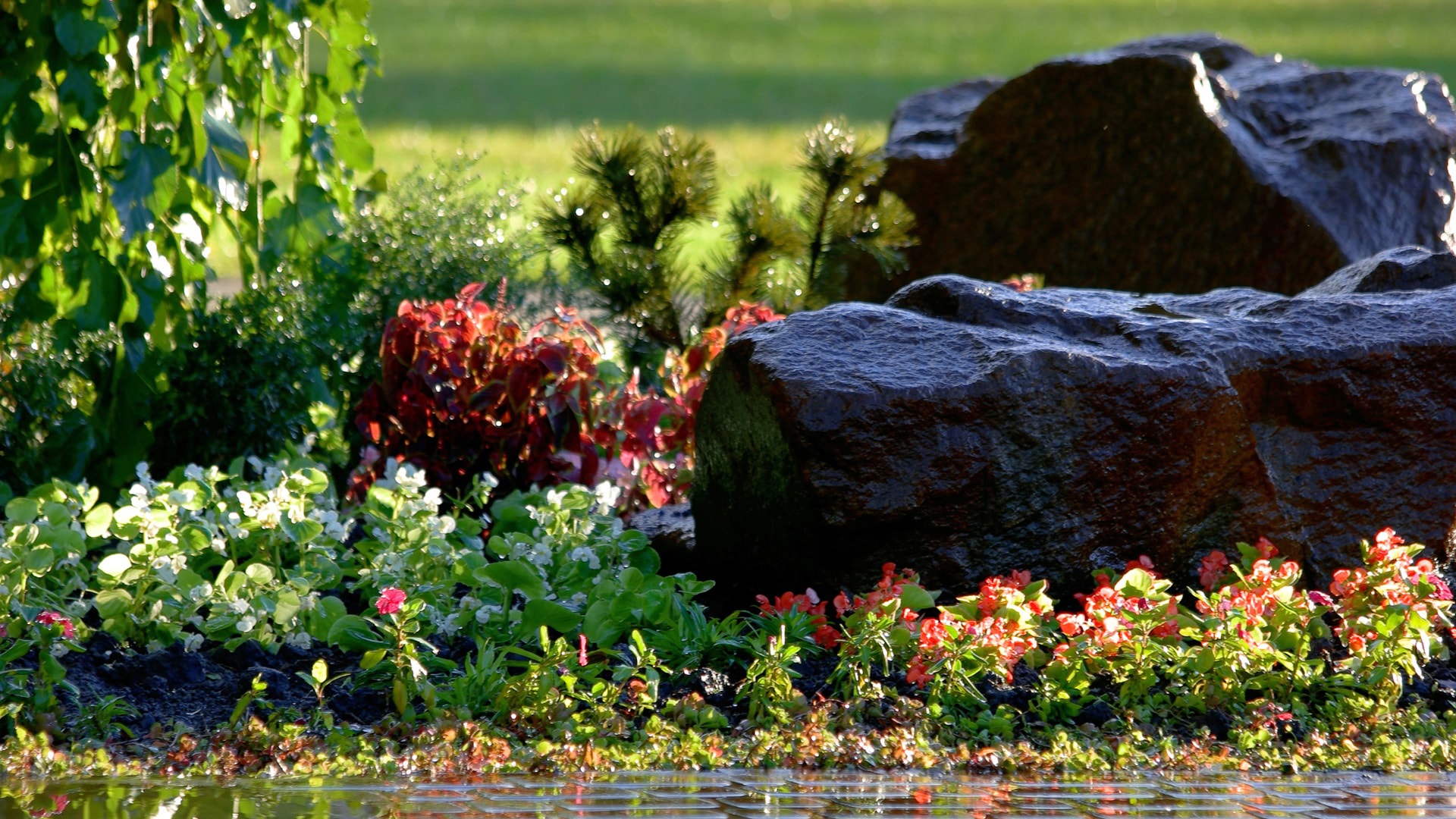 close-up-decorative-stone-and-colorful-flowers