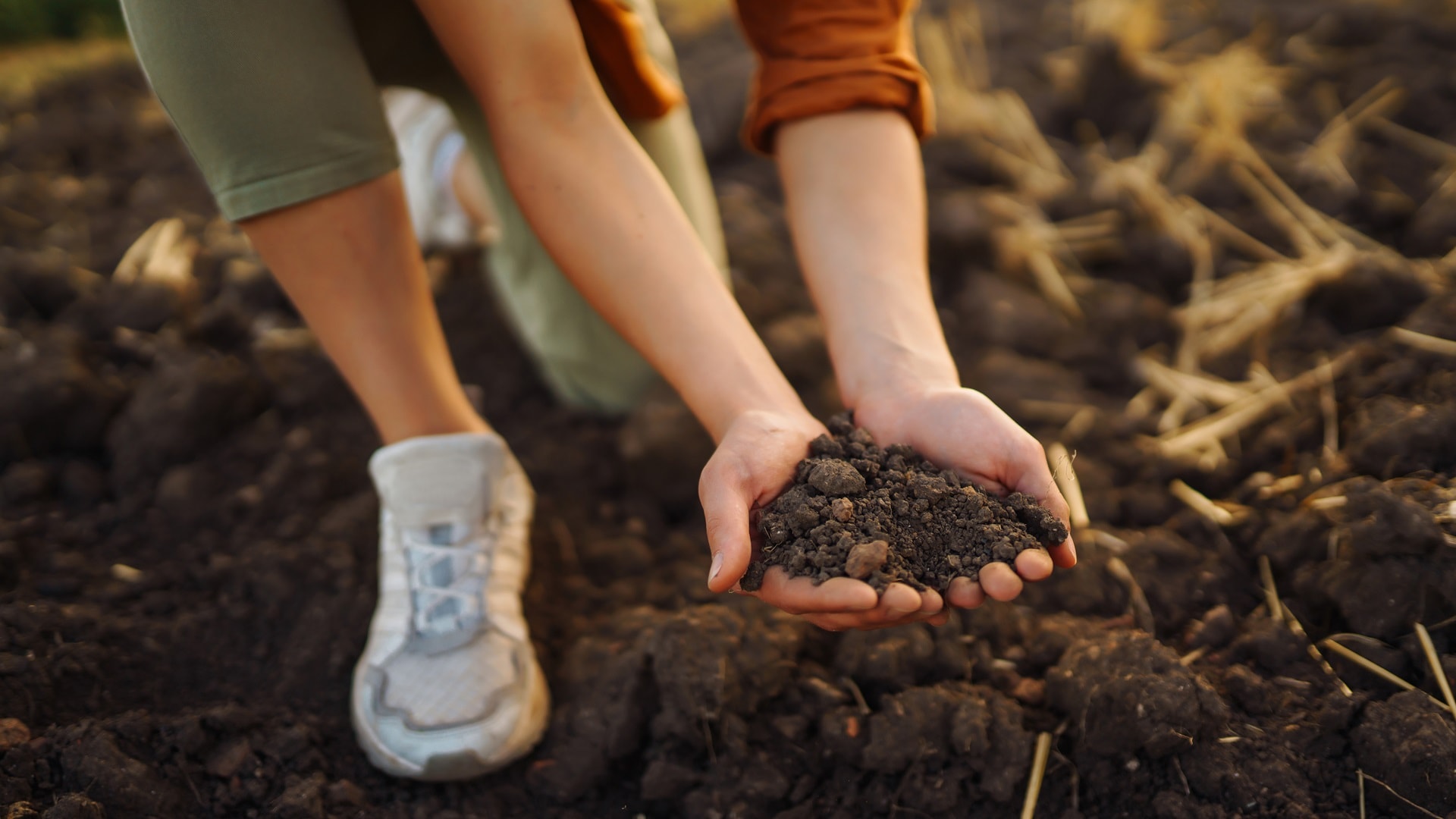 expert-hand-of-farmer-woman-checking-soil-health