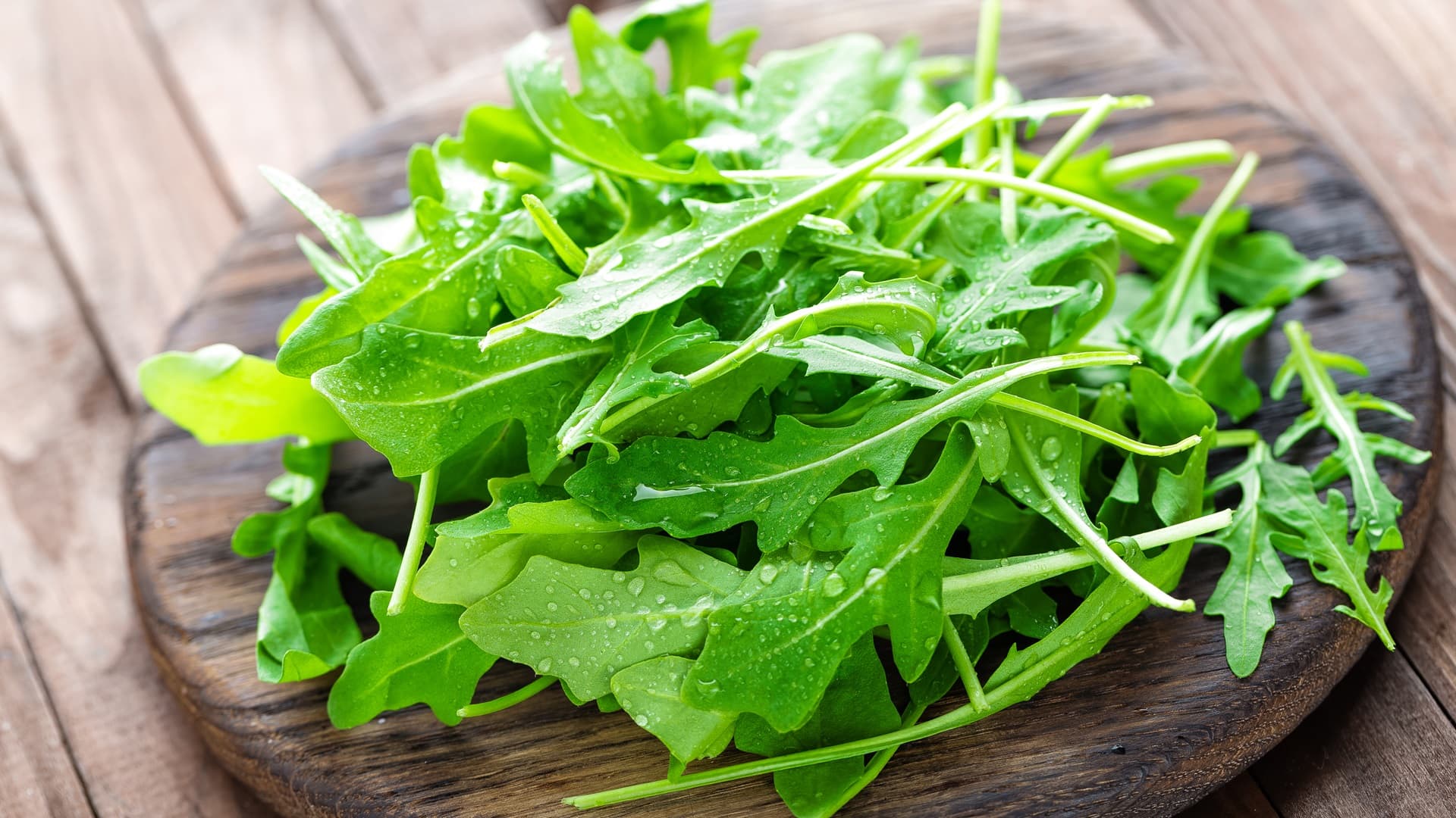 <p data-block-key="5k82s">Rucola tuo salaattiin potkua ja pähkinäistä aromia – sopii niin tuoreena kuin kypsennettynäkin. (Kuva: Envato)</p>