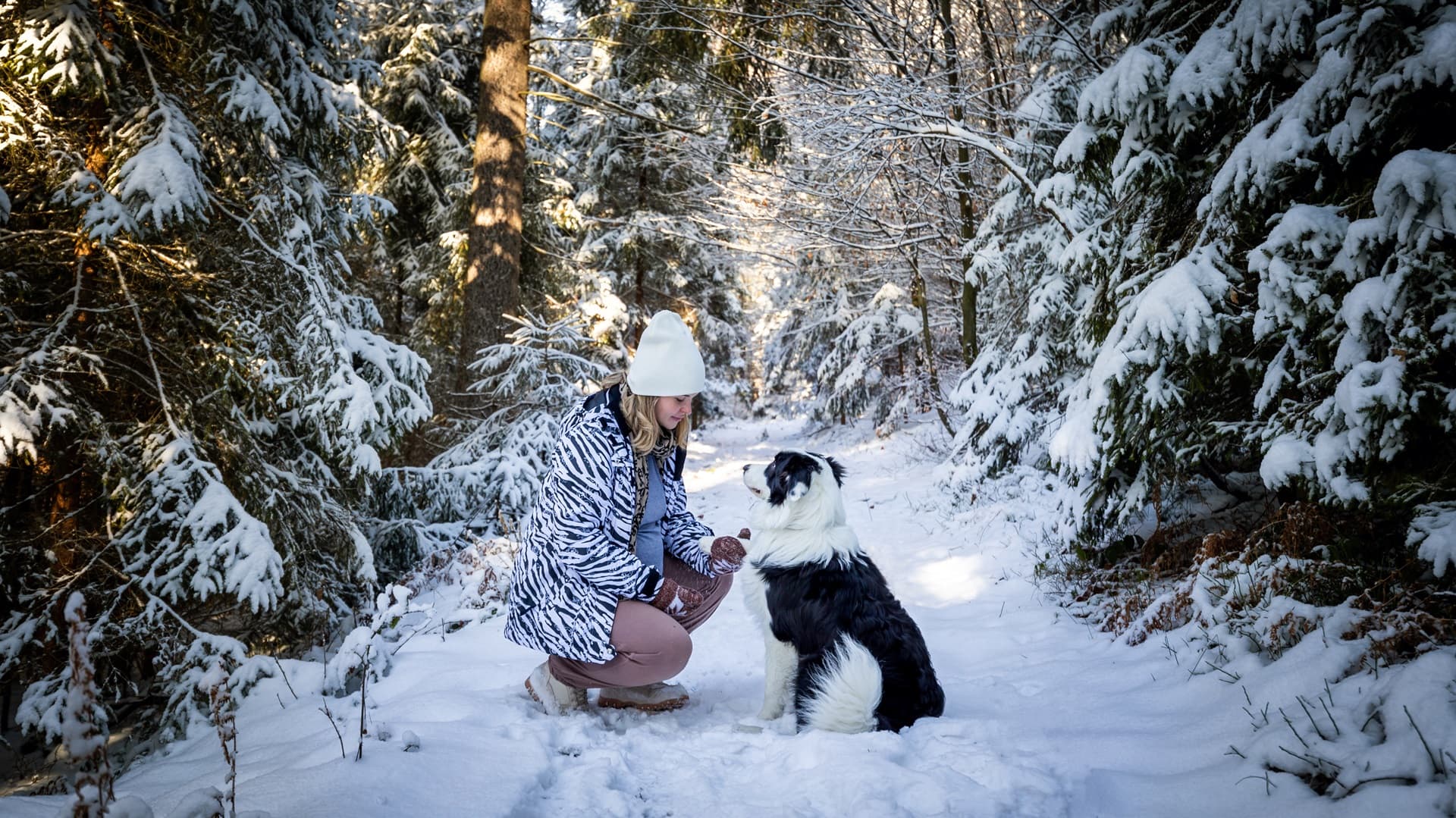 Luonto rauhoittaa sekä ihmisen että lemmikin
