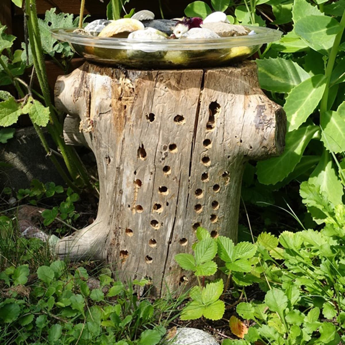 <p data-block-key="irwcm">Hyönteisten kerrostaloasumista.</p>